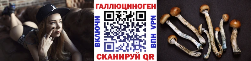 Галлюциногенные грибы GOLDEN TEACHER  Купить где  Короча 